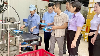 “Vốn mồi” giúp cơ sở công nghiệp nông thôn phát triển