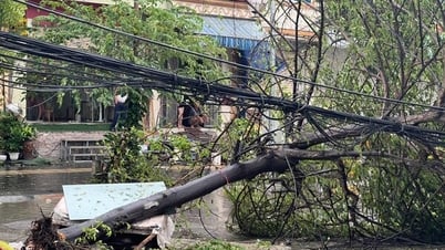 Thời gian tâm bão số 3 Yagi đi sâu đất liền tác động mạnh