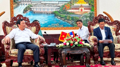 Promoting friendly cooperation between Hai Duong