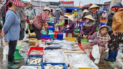 Phấn đấu khai thác hải sản vượt kế hoạch đề ra