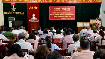 Ninh Hai District Party Committee deploys tasks for 2024