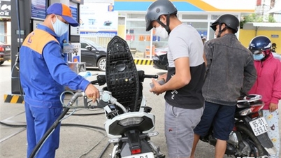 NTO - ពីរខែដំបូងនៃឆ្នាំ 2024