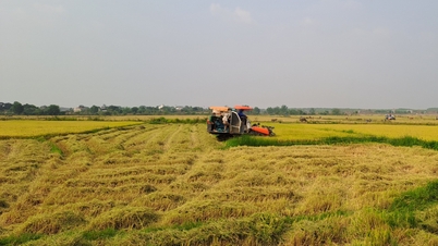 តម្លៃផលិតផលសរុបមិនដល់គោលដៅទេ។