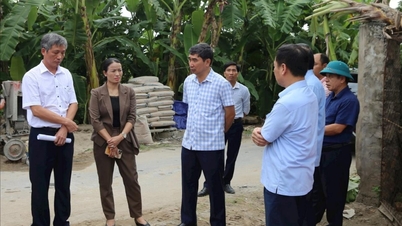 Hải Dương xử lý 401 vi phạm trên hệ thống thuỷ lợi Bắc Hưng Hải
