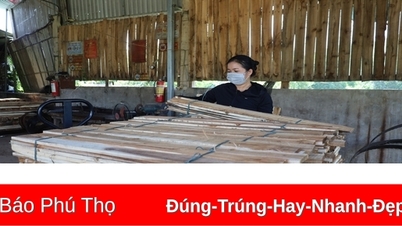ការ​ជួយ​ចិញ្ចឹម​ជីវិត និង​ការ​ផ្លាស់​ប្តូរ​អាជីព​សម្រាប់​ជនជាតិ​ភាគតិច​នៅ​ស្រុក Tan Son