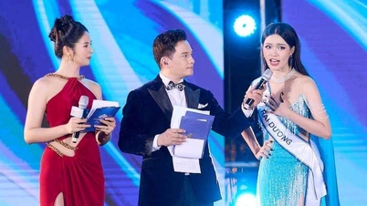 मिस टूरिज्म वियतनाम फाम थी नोक क्विन के उत्कृष्ट प्रदर्शन की समीक्षा करें