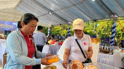 លើកកំពស់គុណភាពធនធានមនុស្សសម្រាប់ការលើកកម្ពស់ពាណិជ្ជកម្ម