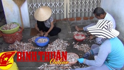 The "crab" profession of the sea