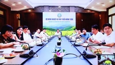 Urge the completion of the goal of building new rural areas by 2024