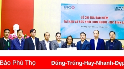 ចំណាយប្រាក់ជាង 2 ពាន់លានដុងនៅក្នុងអត្ថប្រយោជន៍ធានារ៉ាប់រង BIC Binh An ដល់អតិថិជន