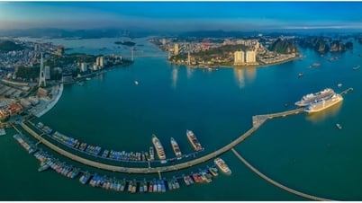Thư chúc mừng năm mới của Tỉnh ủy, HĐND, UBND, Ủy ban MTTQ Việt Nam tỉnh Quảng Ninh