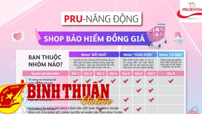 ក្រុមហ៊ុន ព្រូដិនសល វៀត ណាម បានចាប់ផ្តើមដំណើរការហាងធានារ៉ាប់រងតម្លៃផ្ទះល្វែងជាលើកដំបូង ជាមួយនឹងថ្លៃសេវាចាប់ពី 2,000 ដុងក្នុងមួយខែ។