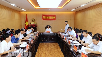 Comments on the Draft Revolutionary Action Program to welcome the 23rd Provincial Party Congress
