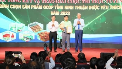 Tổng kết và trao giải Cuộc thi trực tuyến Bình chọn sản phẩm OCOP tỉnh Ninh Thuận được yêu thích năm 2023