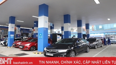 Ha Tinh Petroleum រួមចំណែកជាង 335 ពាន់លានដុងដល់ថវិកា