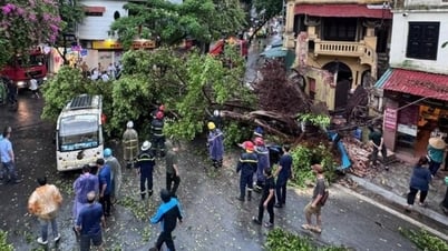 Hà Nội miễn giảm thuế cho người bị ảnh hưởng của bão số 3