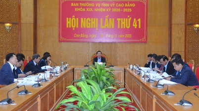 Hội nghị Ban Thường vụ Tỉnh ủy lần thứ 41, nhiệm kỳ 2020-2025