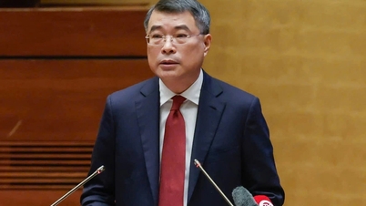 The Central Executive Committee and the National Assembly will hold an extraordinary meeting on streamlining the apparatus sooner.