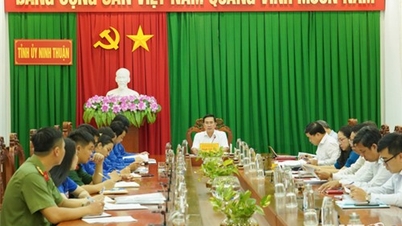 Thường trực Tỉnh ủy làm việc với Ban Thường vụ Tỉnh đoàn
