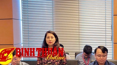 Quốc hội thảo luận tại tổ Dự thảo Nghị quyết về tổ chức chính quyền đô thị tại TP. Hải Phòng
