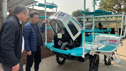 푸쑤옌구는 최초로 트레이 플레이팅과 기계식 재배를 적용했습니다.