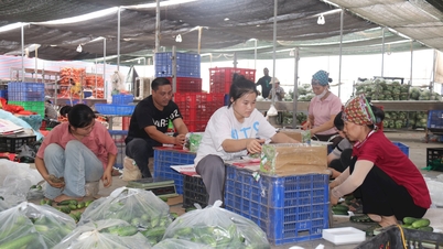 Thành lập Quỹ Hỗ trợ phát triển hợp tác xã Hải Dương