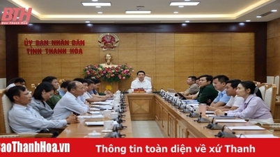 Hội nghị trực tuyến về chống khai thác IUU