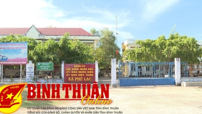 ការលើកកំពស់ប្រសិទ្ធភាពការងារចលនាមហាជនក្នុងចំណោមជនជាតិភាគតិច