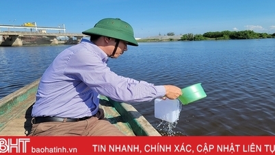 តើ​នឹង​មាន​លទ្ធផល​នៅ​ពេល​ណា​អំពី​មូលហេតុ​នៃ​ការ​ងាប់​ត្រី​នៅ​ទន្លេ Nghen?