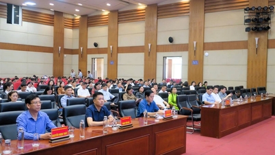 Triển khai Quyết định Quy định trách nhiệm quản lý nhà nước về an toàn thực phẩm trên địa bàn thành phố Hải Phòng