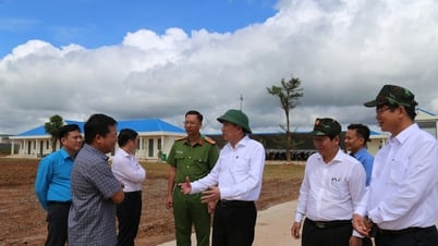 Chairman of the Provincial People's Committee Pham Ngoc Nghi inspected livestock project activities in Ea Sup district.