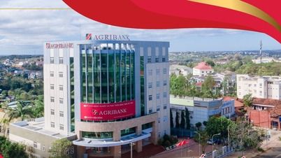 Agribank Dak Nong និងគោលដៅនៃការផ្លាស់ប្តូរឌីជីថលដ៏ទូលំទូលាយ