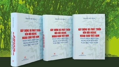 អនុវត្តសកម្មភាពនយោបាយ និងមនោគមវិជ្ជាលើខ្លឹមសារនៃការងាររបស់អគ្គលេខាបក្ស Nguyen Phu Trong លើកិច្ចការបរទេស និងការទូត។