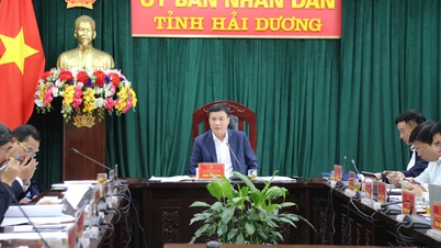 Hai Duong schlägt Investitionen im Ökotourismusgebiet Thanh Long Lake vor