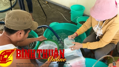 Phát triển chỉ dẫn địa lý cho tôm Bình Thuận