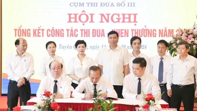 Klaster Emulasi No. 3 Pengadilan Rakyat merangkum kerja emulasi dan penghargaan tahun 2024