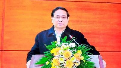 Hội nghị tổng kết năm 2024 và triển khai kế hoạch năm 2025 ngành Nông nghiệp và Phát triển nông thôn