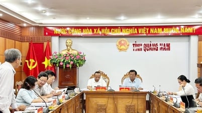 Tập trung tham mưu xử lý đối với nhóm dự án có liên quan đến kết luận của Ủy ban Kiểm tra Trung ương