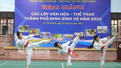 ទីក្រុង Ninh Binh បើកថ្នាក់វប្បធម៌ និងកីឡាសម្រាប់កុមារ