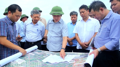 The Chairman of the Provincial People's Committee inspected the investment preparation work of the Ninh Binh-Hai Phong expressway project.