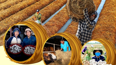 The cycle of... straw