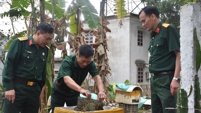 Chỉ có 40% số hộ nuôi ong mật nội rừng ở Kinh Môn thu được mật vụ xuân