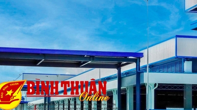 Step by step removing difficulties to develop industry in Duc Linh