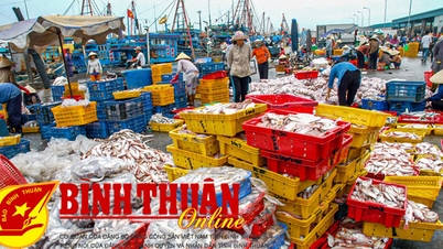Quản lý tàu cá ra, vào cảng cá, nâng cao hiệu quả khai thác cảng và giám sát sản lượng lên bến