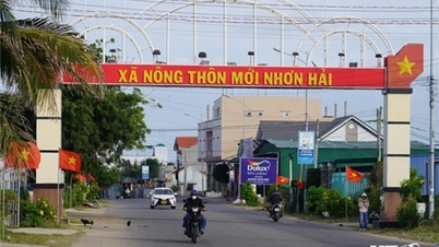 Những miền quê năng động