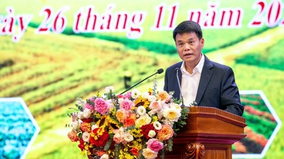 Chủ tịch UBND tỉnh Hải Dương Lê Ngọc Châu đối thoại với nông dân