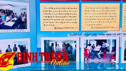 Giới thiệu nhiều hình ảnh, hiện vật quý về biển, đảo của Bình Thuận