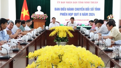 省デジタル変革運営委員会：2024年の最後の6か月間のタスクの展開