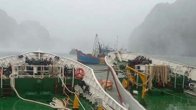 Soldiers of Naval Region 3 promptly rescued a fishing boat that had broken anchor during storm No. 3.