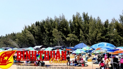 តំបន់ទេសចរណ៍សហគមន៍ Cam Binh ដ៏ទាក់ទាញ